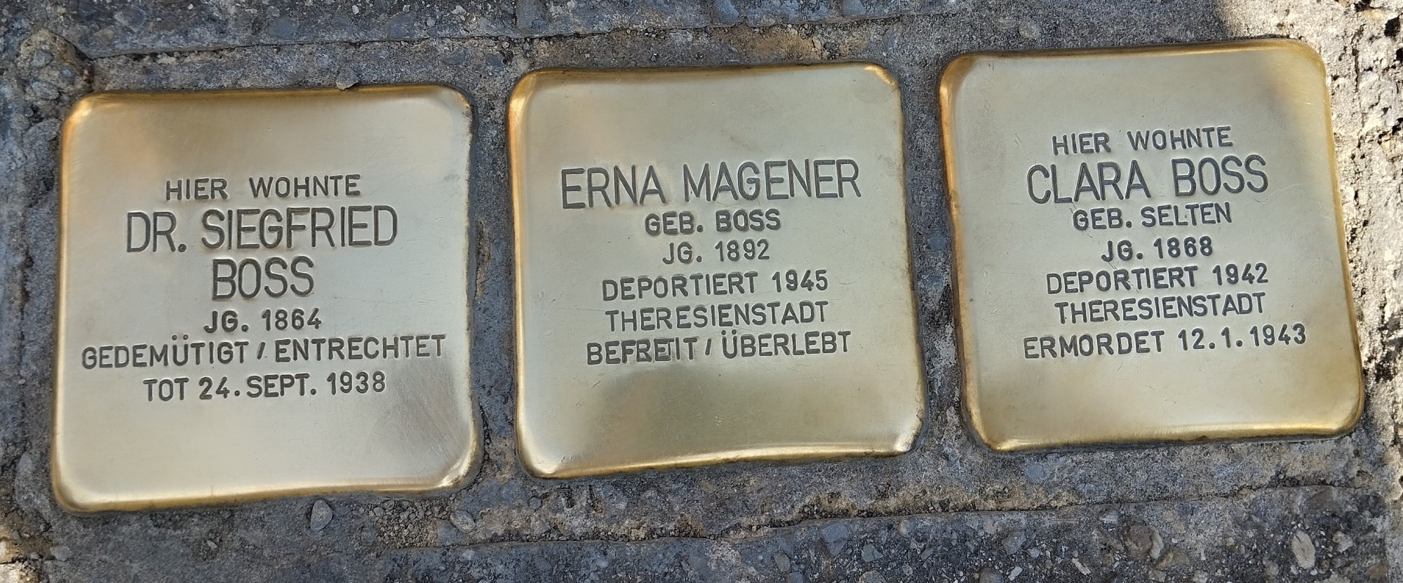 Neuntklässler der Realschule Oberkirch putzen Stolpersteine - Realschule  Oberkirch