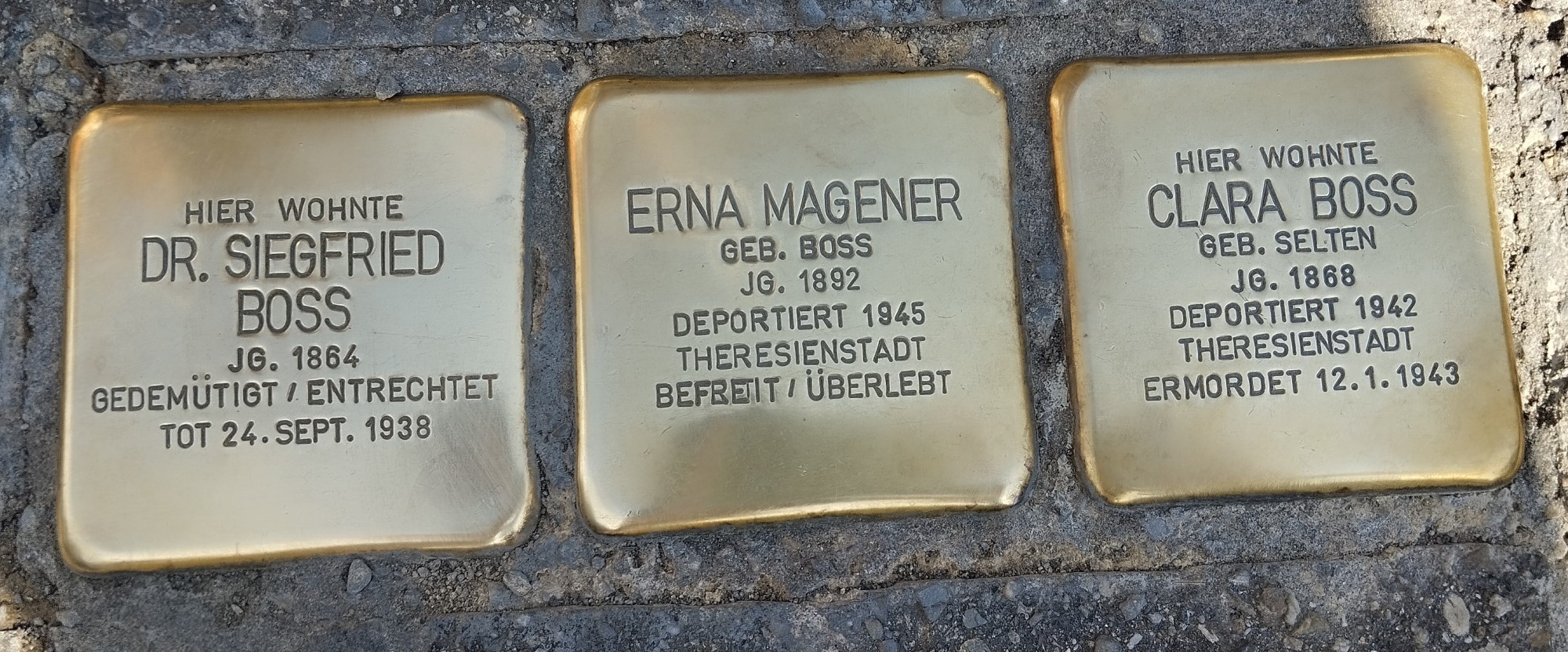 Neuntklässler der Realschule Oberkirch putzen Stolpersteine - Realschule  Oberkirch