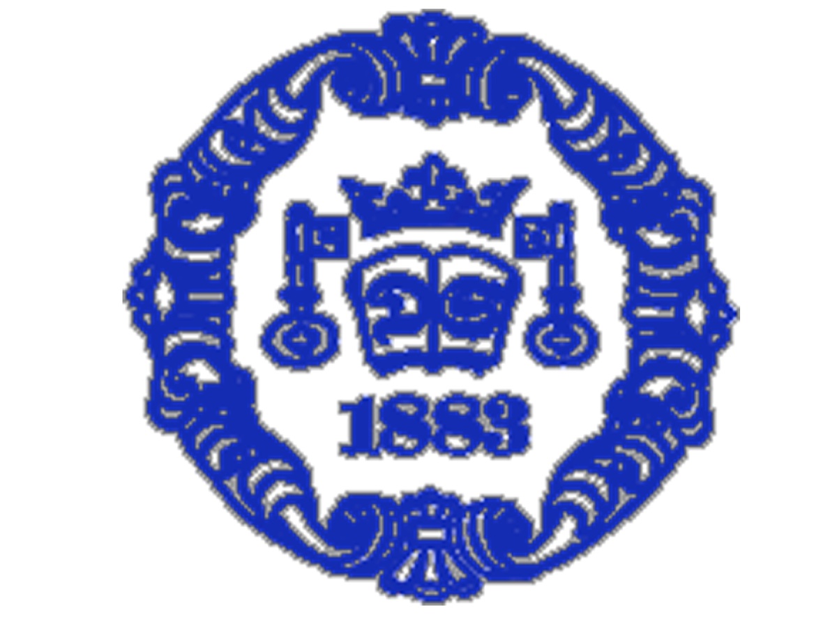 Deutsche Schule logo