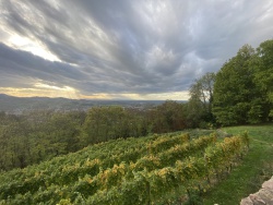 Blick vond er Schauenburg
