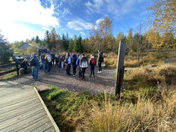 Lotharpfad im Nationalpark