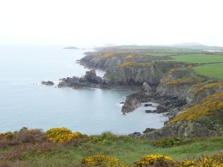 Küste bei St. Davids